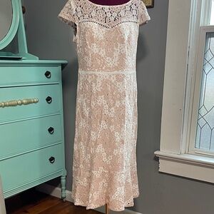 Adrianna Papell Blush Lace Midi Dress